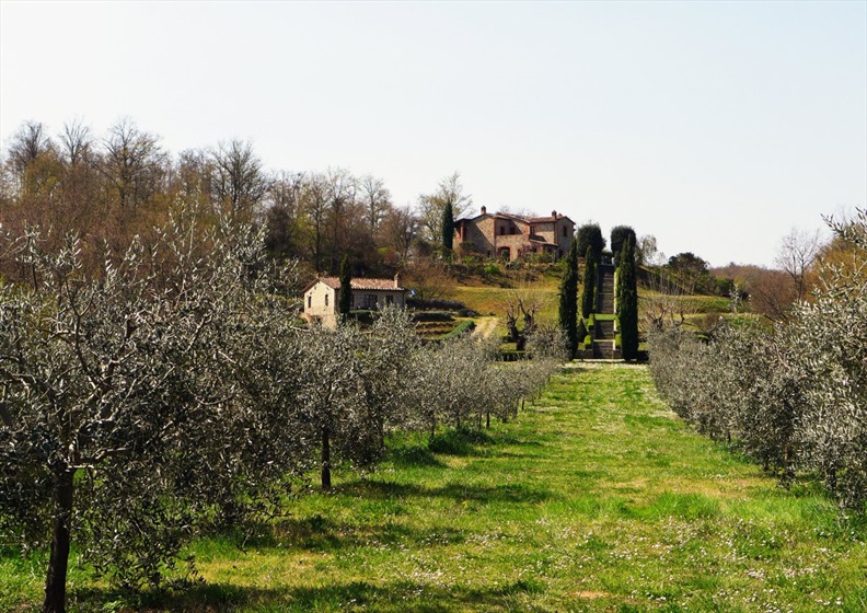 Podere dell'Antonia, Citta' della Pieve (Umbria, Italy) - Willem Brouwer